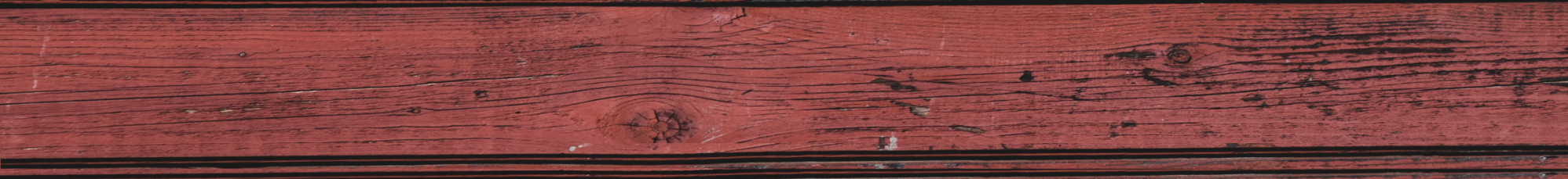 Photo by Douglas Fehr on Unsplash