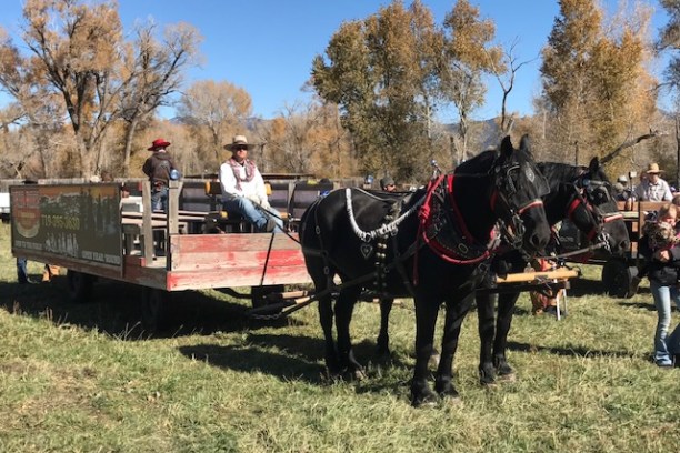 a group of people riding on the back of a horse