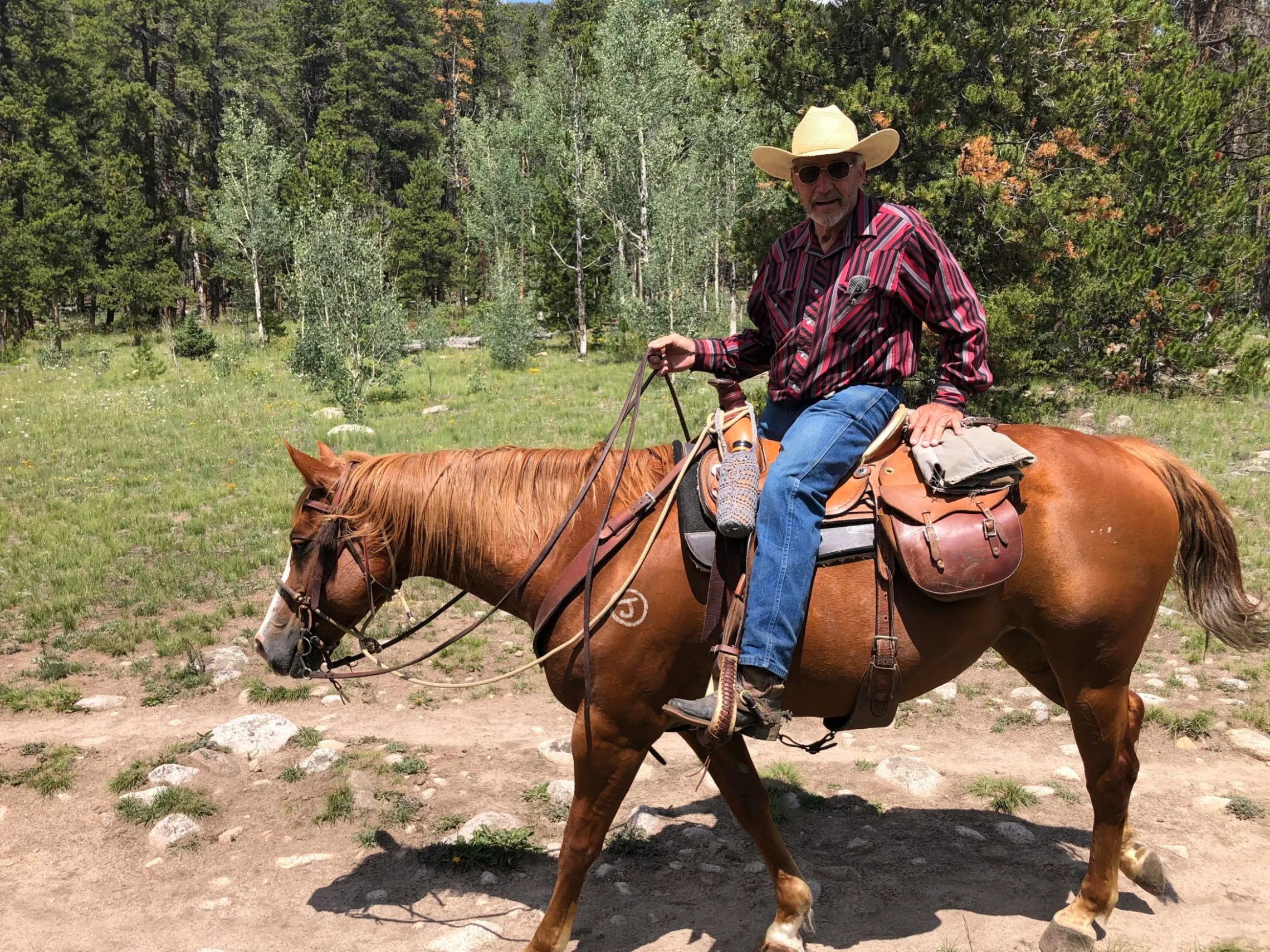 a man riding a horse in the mountains