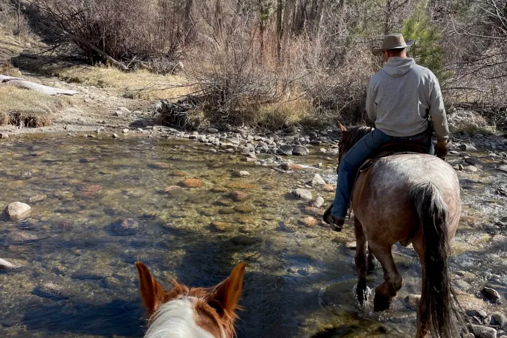 a man riding a horse