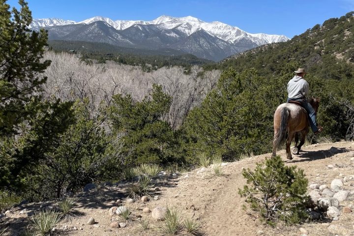 a brown horse standing on top of a mountain