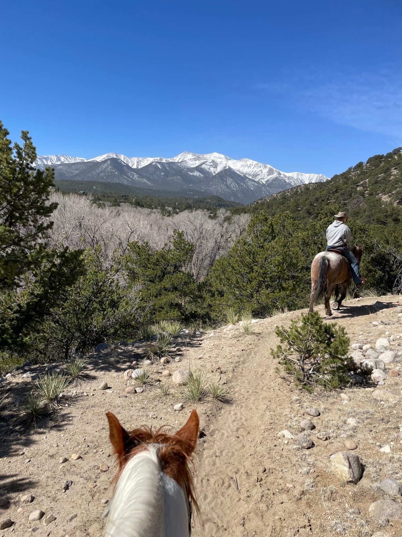 Horseback Riding In Rocky Mountain National Park: What To Know - Winter Park House - Foto 5